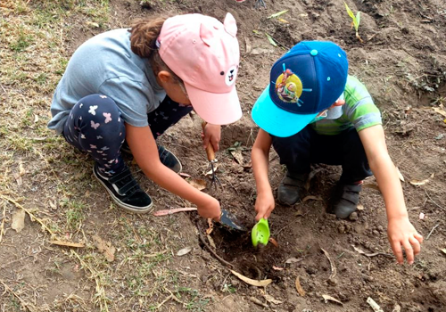 huerto taller infantil alouette