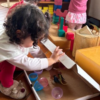 photo_24_2025-06-03_10-40-31 (1)